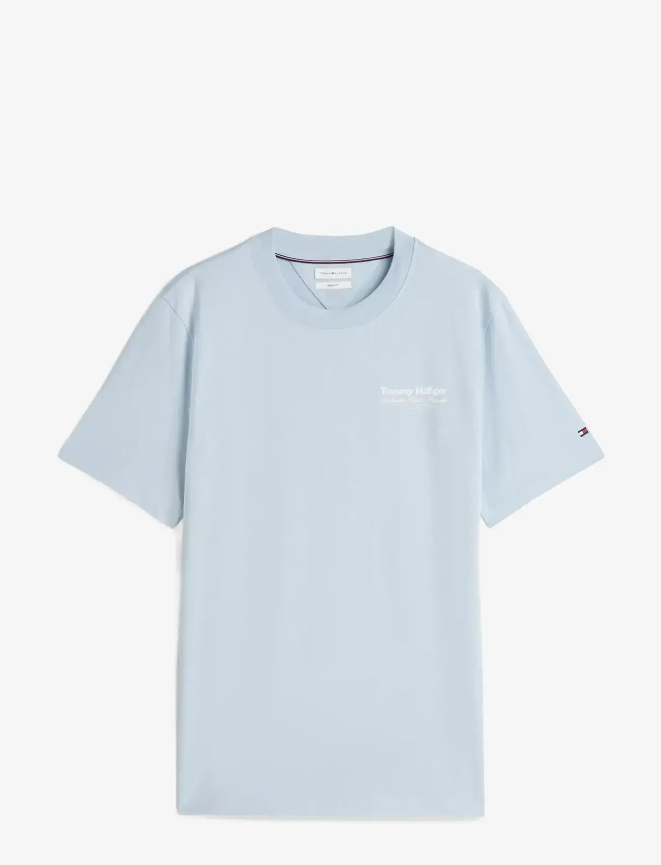 Tommy Hilfiger - NAUTICAL BACK GRAPHIC REG TEE - kortærmede t-shirts - breezy blue - 1