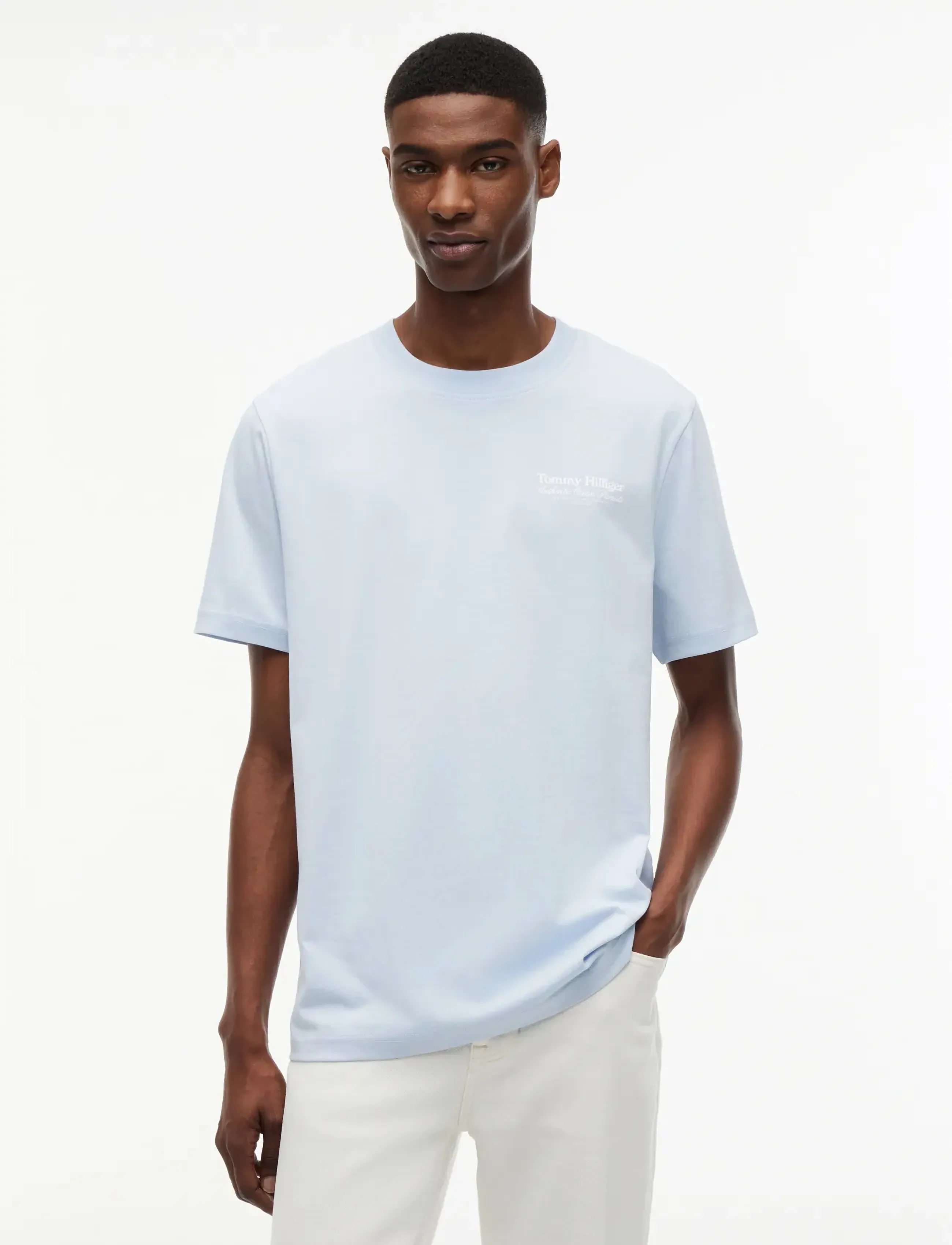 Tommy Hilfiger NAUTICAL BACK GRAPHIC REG TEE - Tommy Hilfiger - BREEZY BLUE / blue