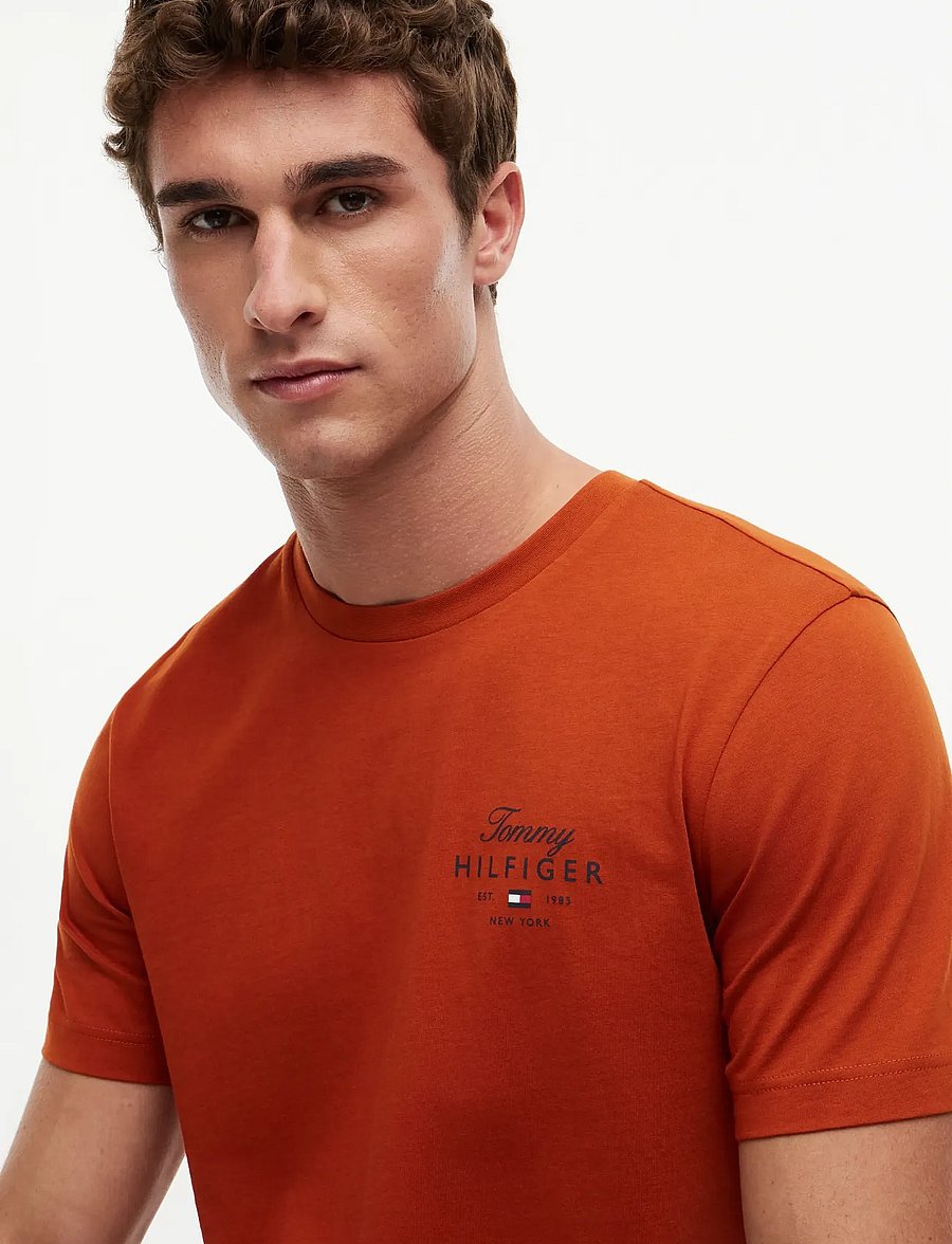 Tommy Hilfiger - SCRIPT STACK REGULAR TEE - t-shirts à manches courtes - rusty ochre - 3