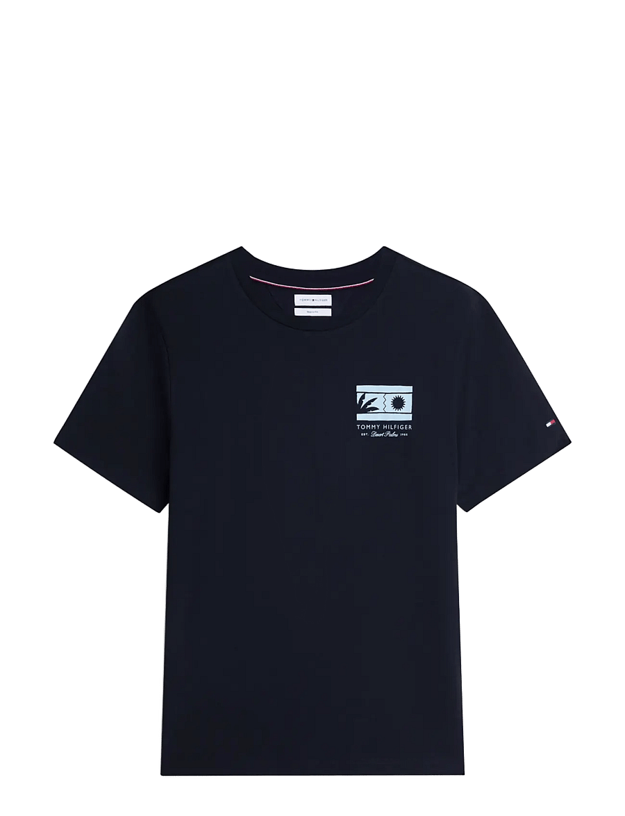 Tommy Hilfiger - MONO SUN GRAPHIC REGULAR TEE - kurzärmelige t-shirts - desert sky - 1