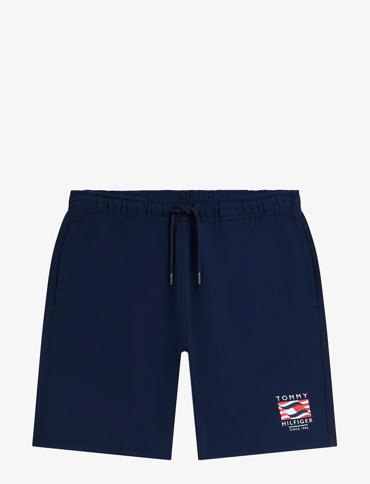 Tommy Hilfiger - RWB BOX FLAG TR SWEATSHORT - sweatshorts - carbon navy - 1