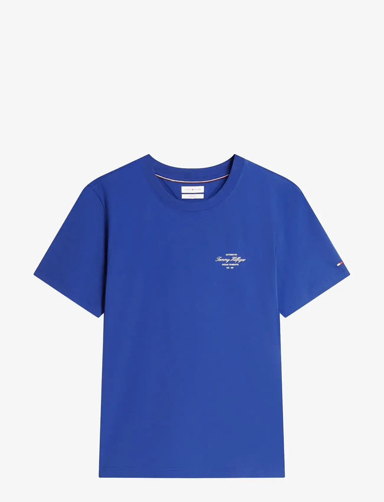 Tommy Hilfiger - NAUTICAL BACK PHOTO REGULAR TEE - kortærmede t-shirts - pigment blue - 1