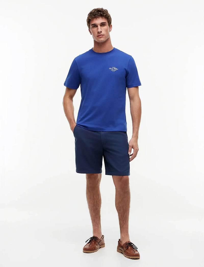 Tommy Hilfiger - NAUTICAL BACK PHOTO REGULAR TEE - kortærmede t-shirts - pigment blue - 3