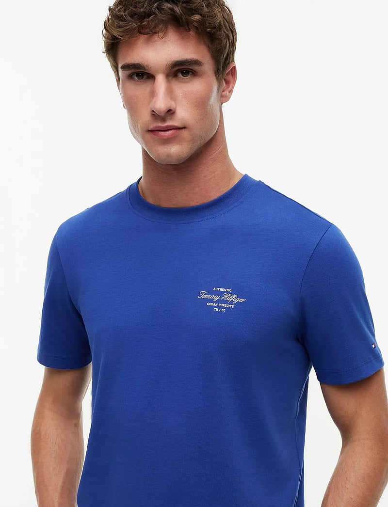 Tommy Hilfiger - NAUTICAL BACK PHOTO REGULAR TEE - kortærmede t-shirts - pigment blue - 4