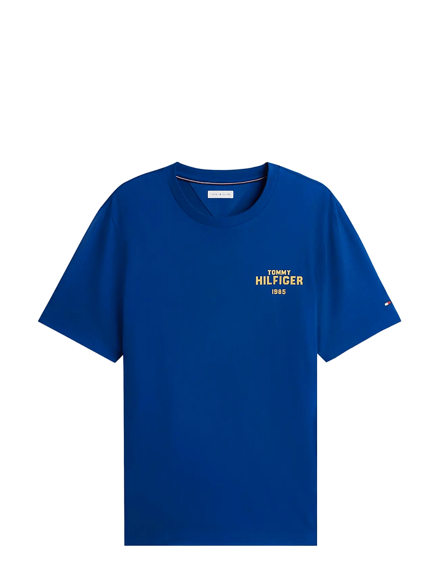 Tommy Hilfiger - HILFIGER 1985 GRAPHIC TEE - kortärmade t-shirts - opulent blue - 1