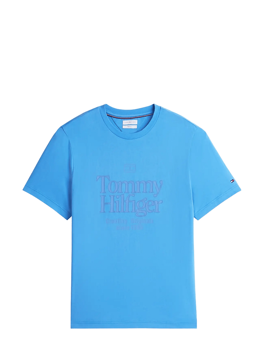 Tommy Hilfiger - FRONT TEXT SEASONAL GRAPHIC TEE - kortærmede t-shirts - blue spell - 1