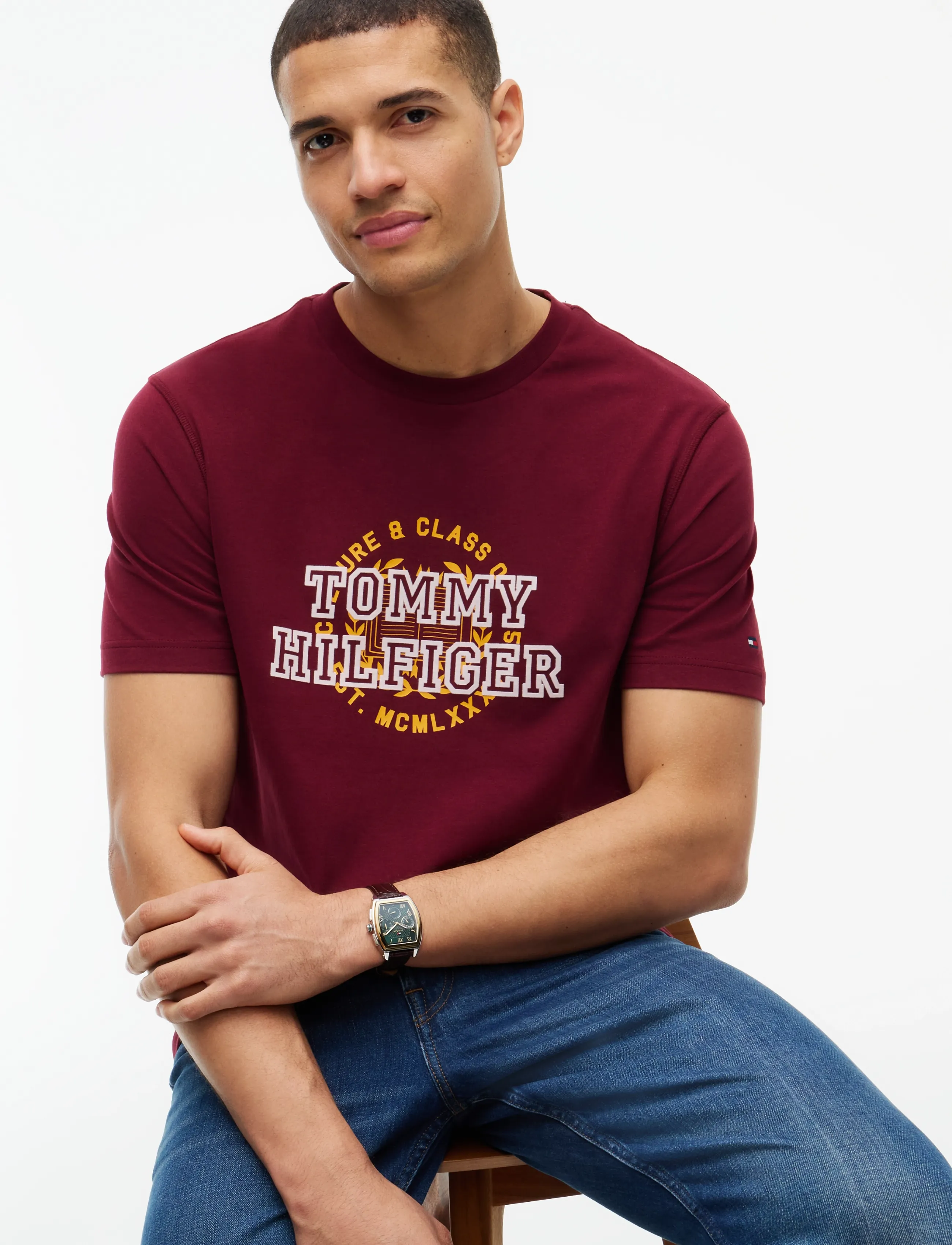 Tommy Hilfiger - GRAPHIC VARSITY ROUNDEL TEE - burgundy - 3