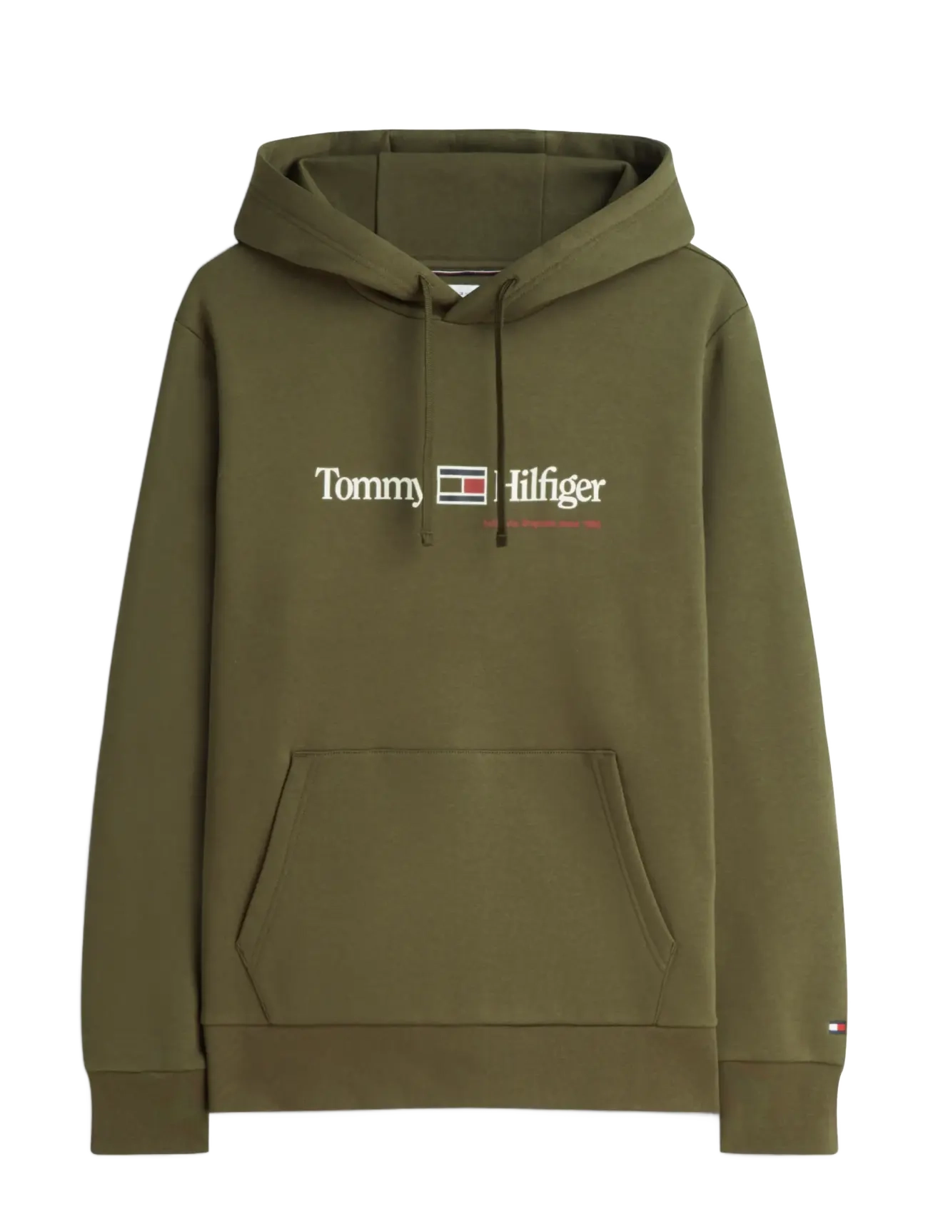 Tommy Hilfiger - RWB GRAPHIC REG FLEECE HOODIE - hættetrøjer - huntsman green - 1