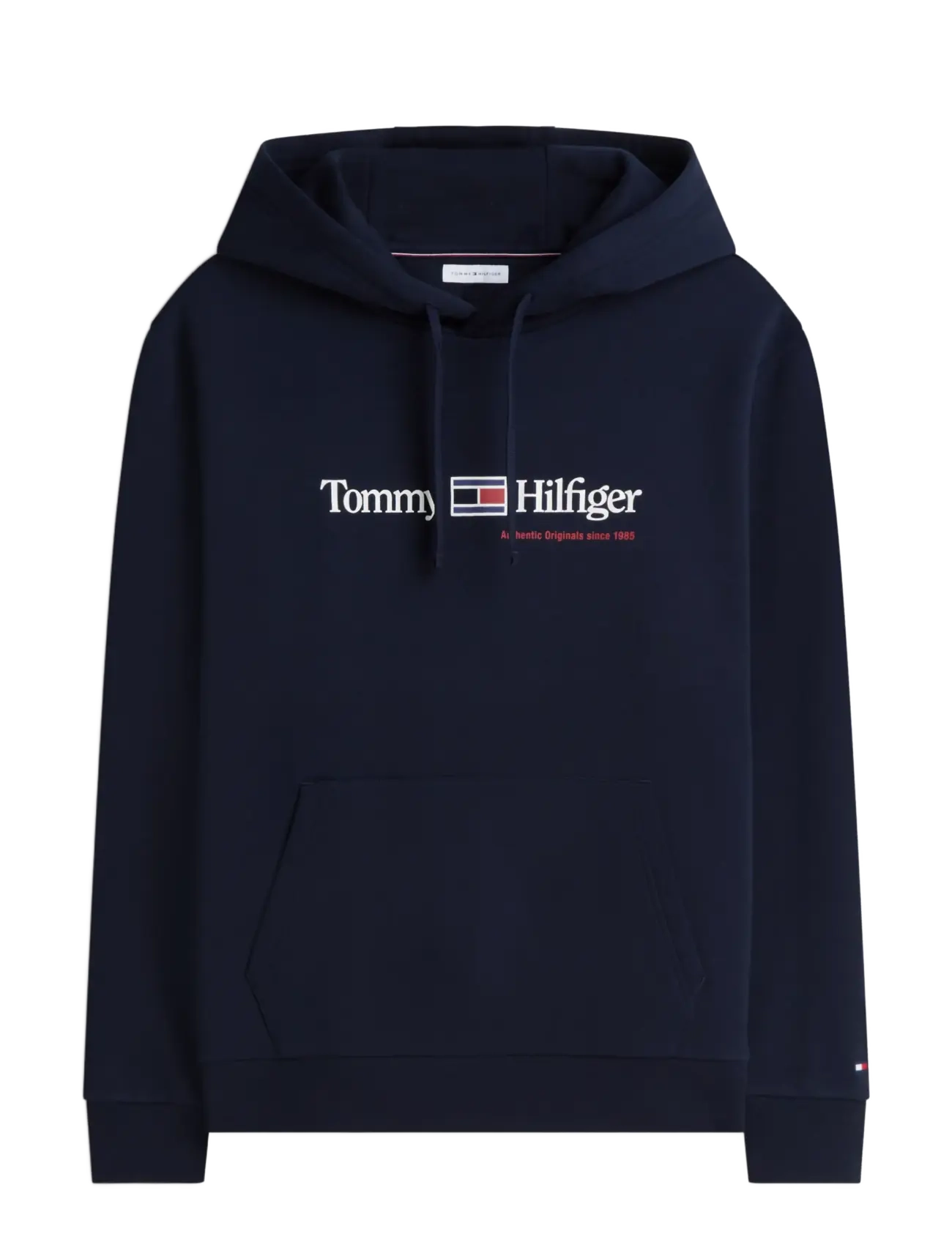 Tommy Hilfiger RWB GRAPHIC REG FLEECE HOODIE - Hættetrøjer - NAVY BLUE / navy