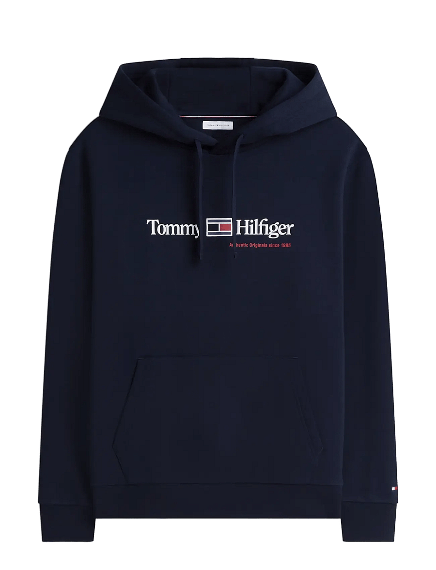 Tommy Hilfiger - RWB GRAPHIC REG FLEECE HOODIE - hættetrøjer - navy blue - 0