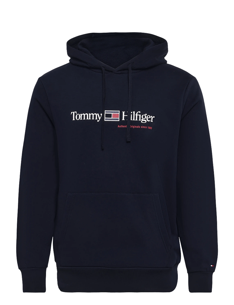 Tommy Hilfiger - RWB GRAPHIC REG FLEECE HOODIE - kapuutsiga pusad - navy blue - 1