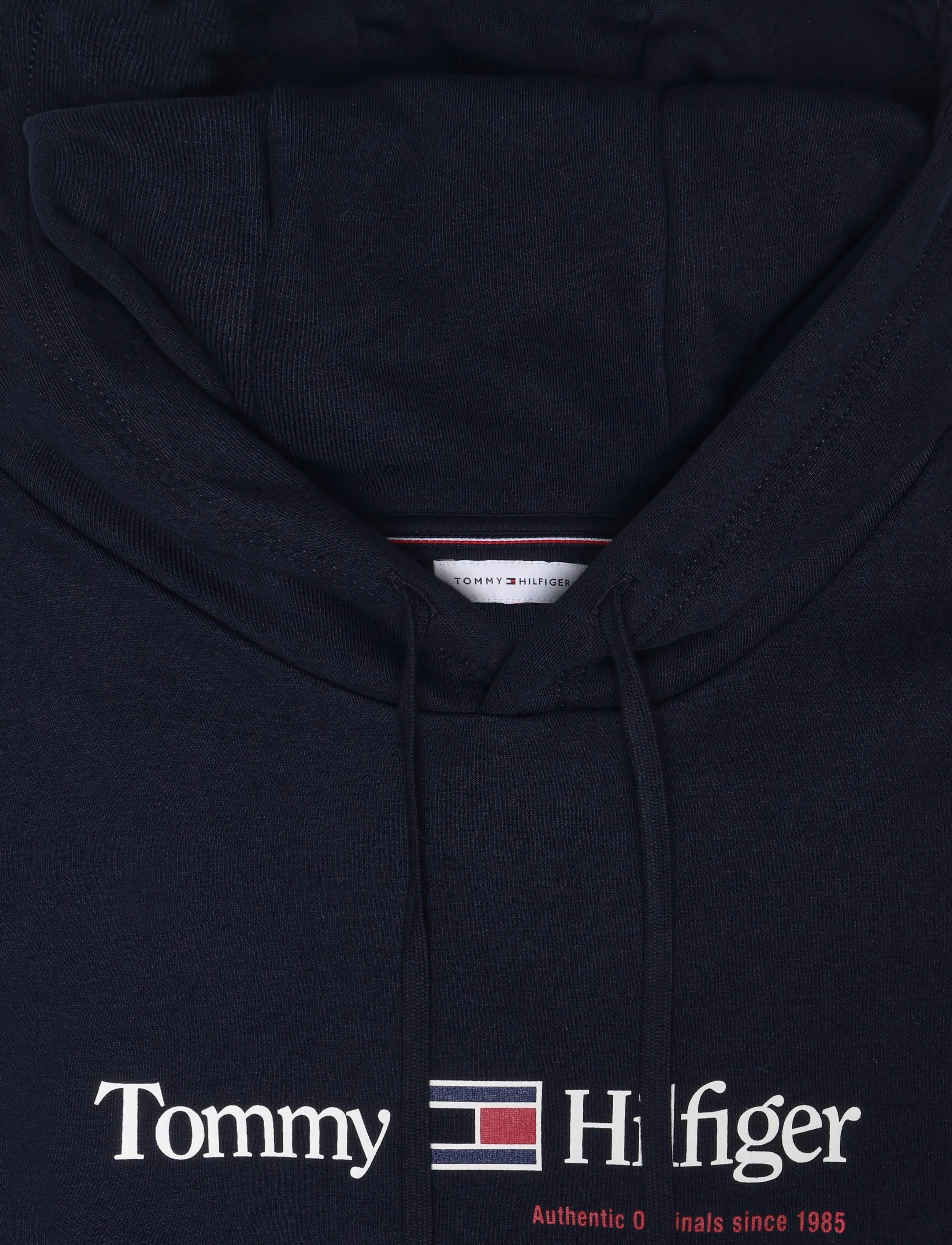 Tommy Hilfiger - RWB GRAPHIC REG FLEECE HOODIE - kapuutsiga pusad - navy blue - 5
