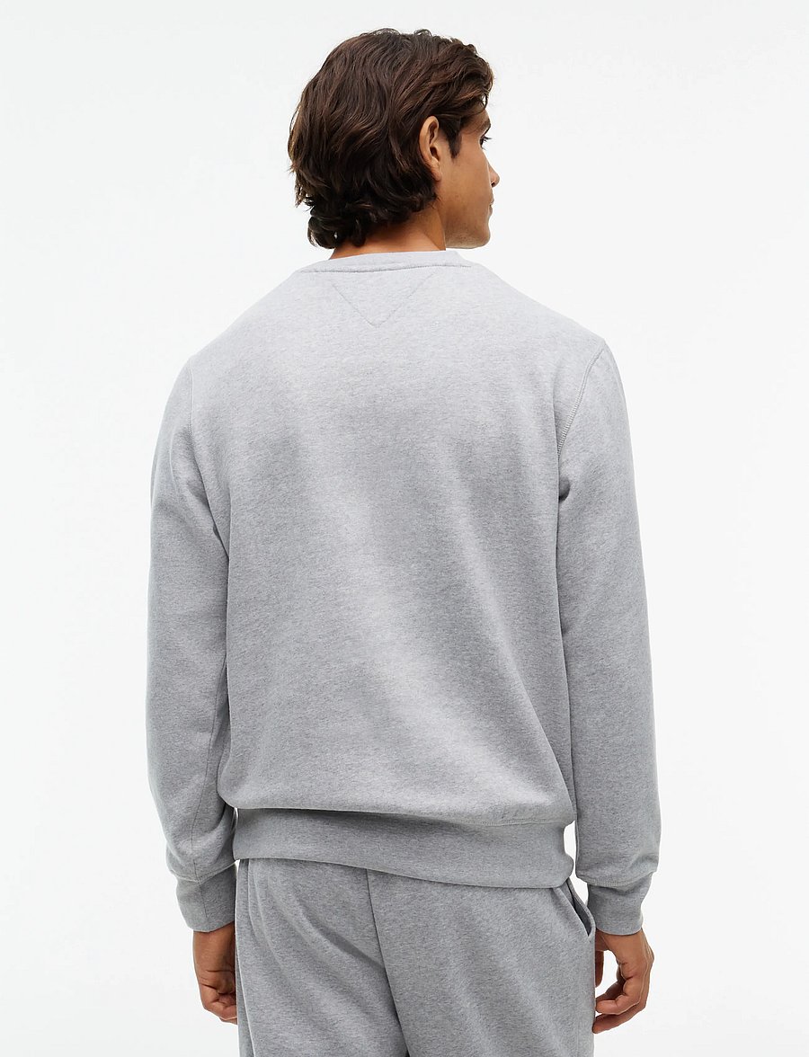 Tommy Hilfiger - VARSITY ROUNDEL REG FLEECE CREW - dressipluusid - light grey heather - 2