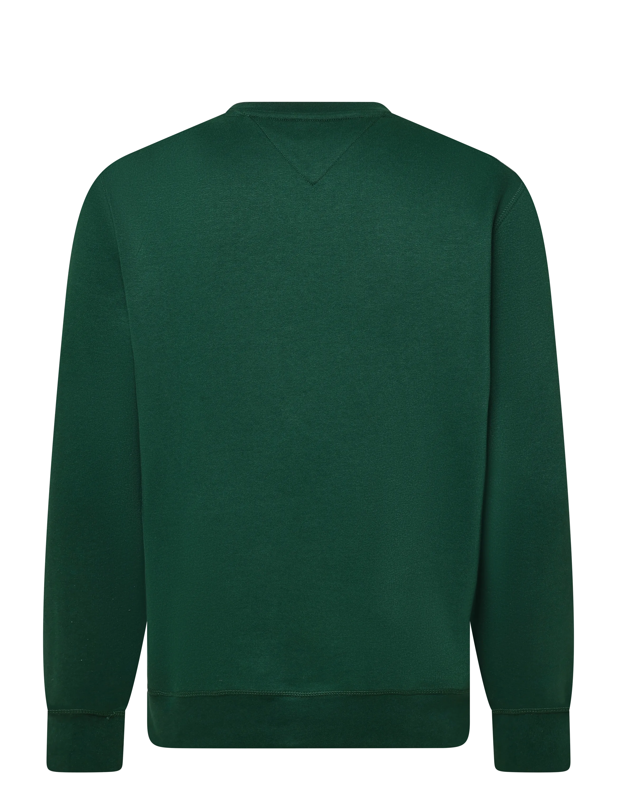 Tommy Hilfiger - VARSITY ROUNDEL REG FLEECE CREW - sweatshirts - ornamental green - 2