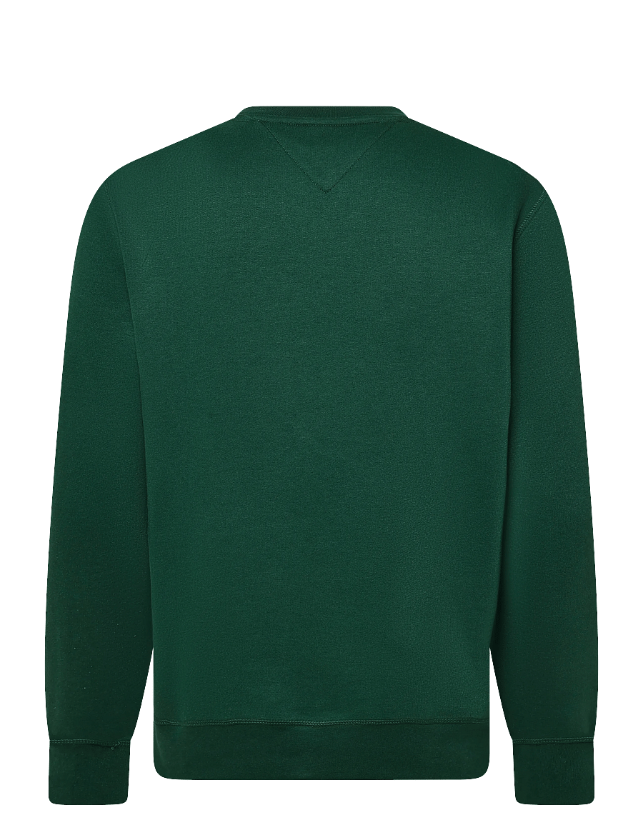 Tommy Hilfiger - VARSITY ROUNDEL REG FLEECE CREW - sweatshirts - ornamental green - 2