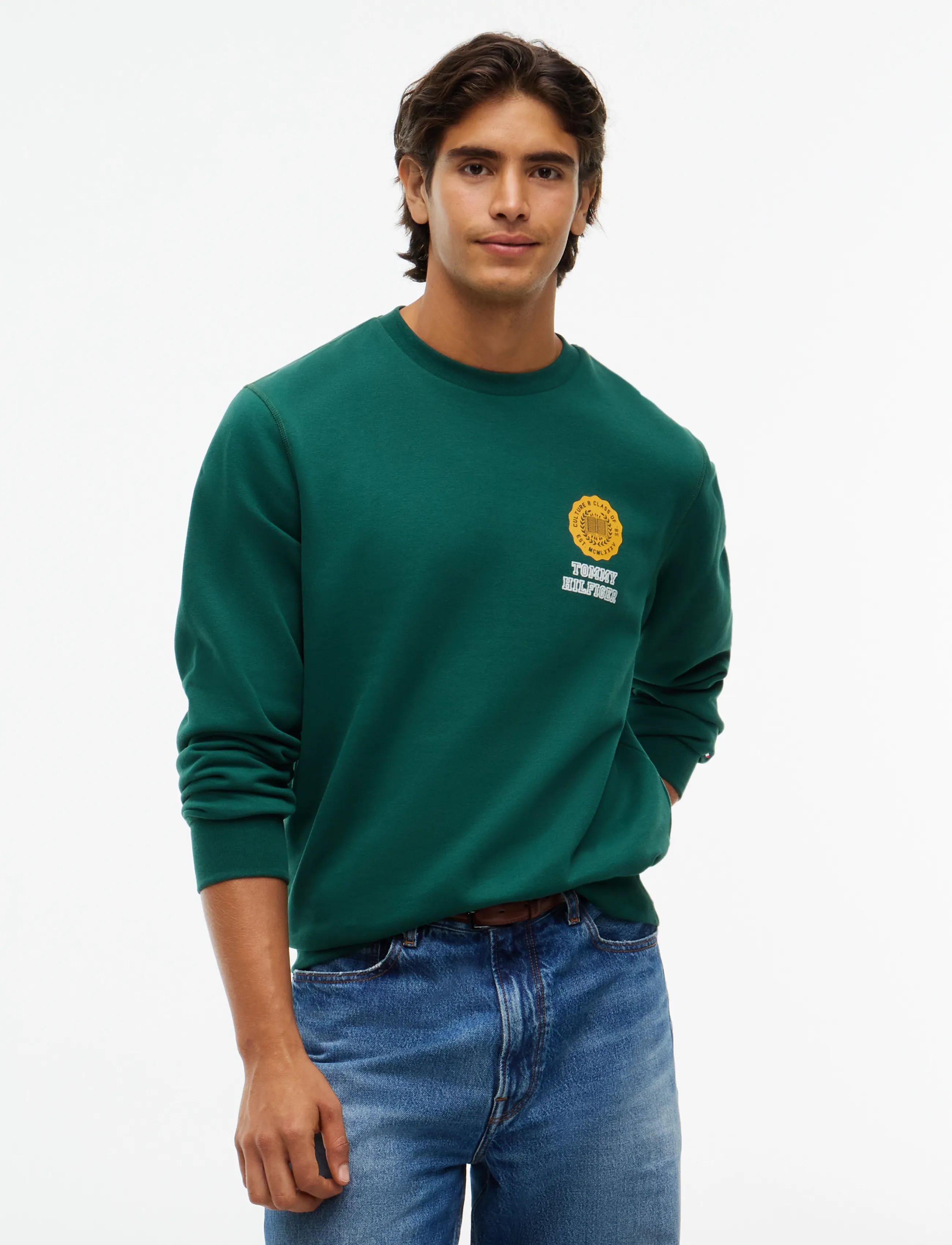 Tommy Hilfiger VARSITY ROUNDEL REG FLEECE CREW - Sweatshirts - ORNAMENTAL GREEN / green