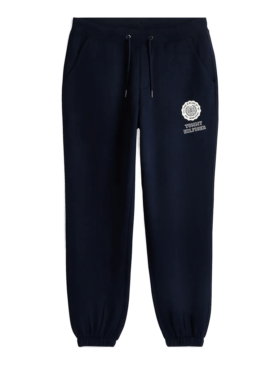 Tommy Hilfiger - GRAPHIC VARSITY ROUNDEL PANT - osta olukorra järgi - navy blue - 1
