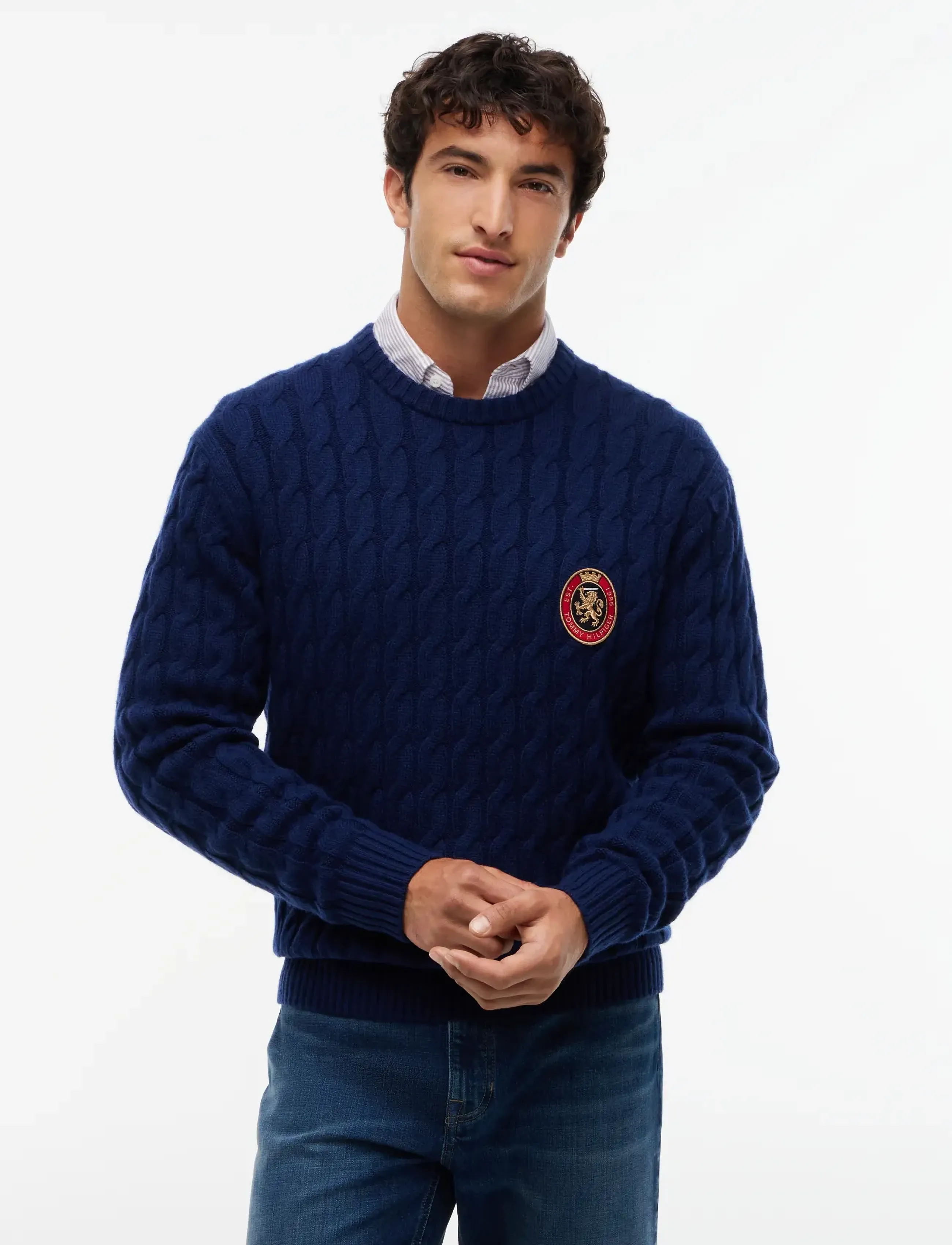 Tommy Hilfiger - ICON CREST GRAPHIC CREW NECK - round necks - carbon navy - 0