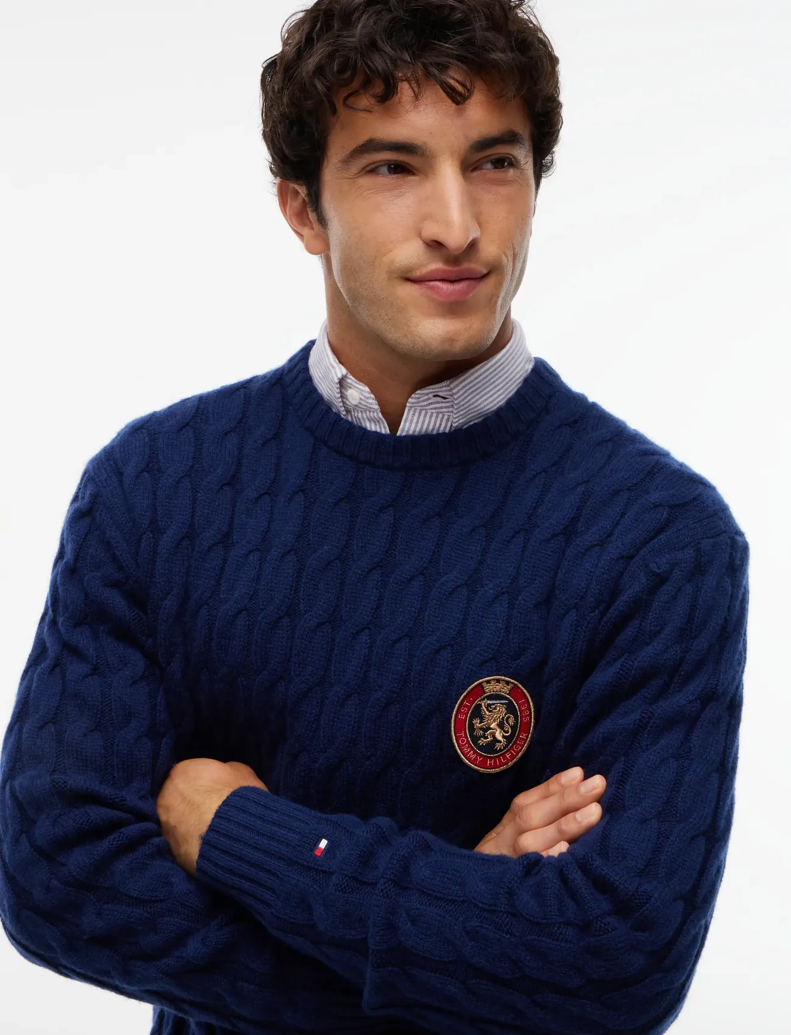 Tommy Hilfiger - ICON CREST GRAPHIC CREW NECK - round necks - carbon navy - 3