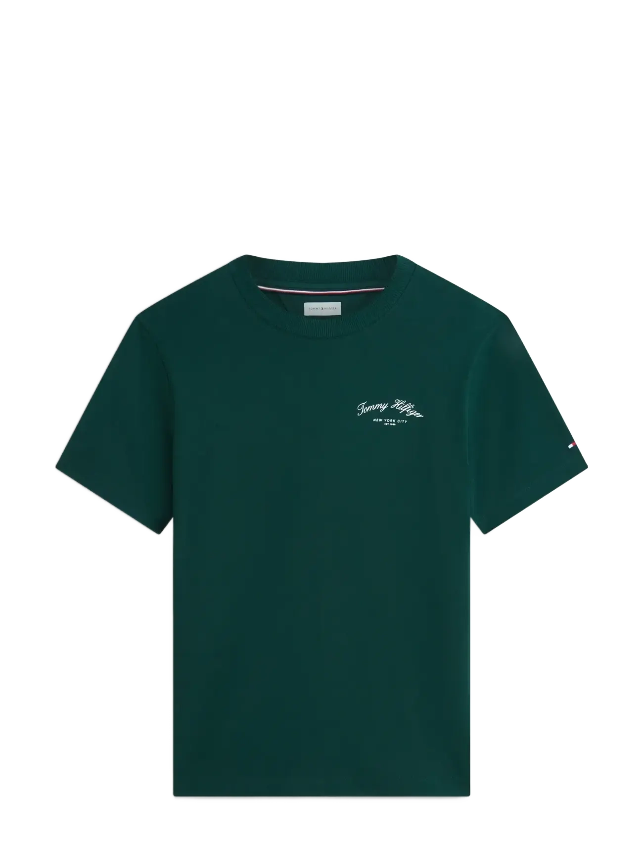 Tommy Hilfiger - SEASONAL GRAPHIC STORY TEE 2 - nocturnal green - 1