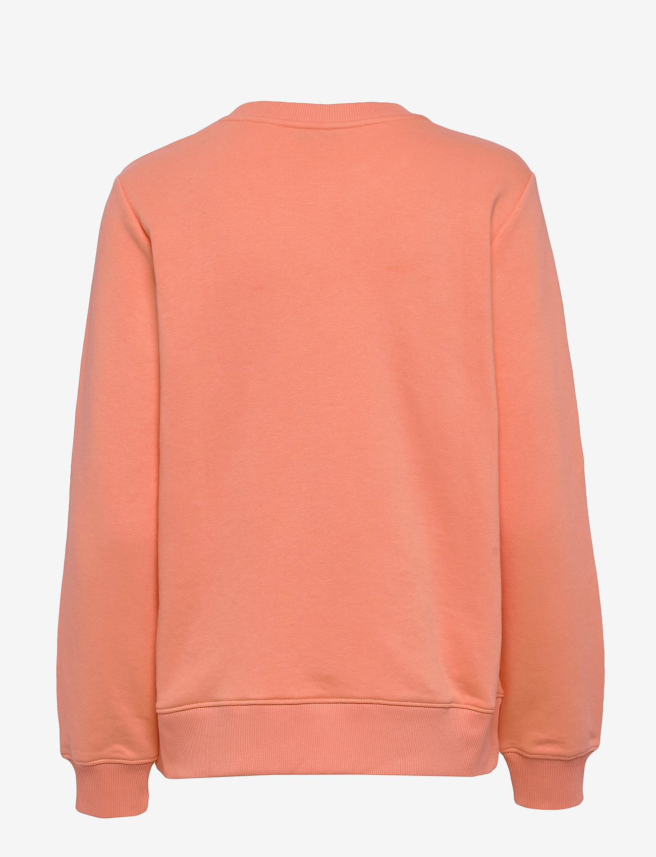 Tommy Hilfiger - ANNIE RELAXED C-NK SWEATSHIRT LS - island coral - 1