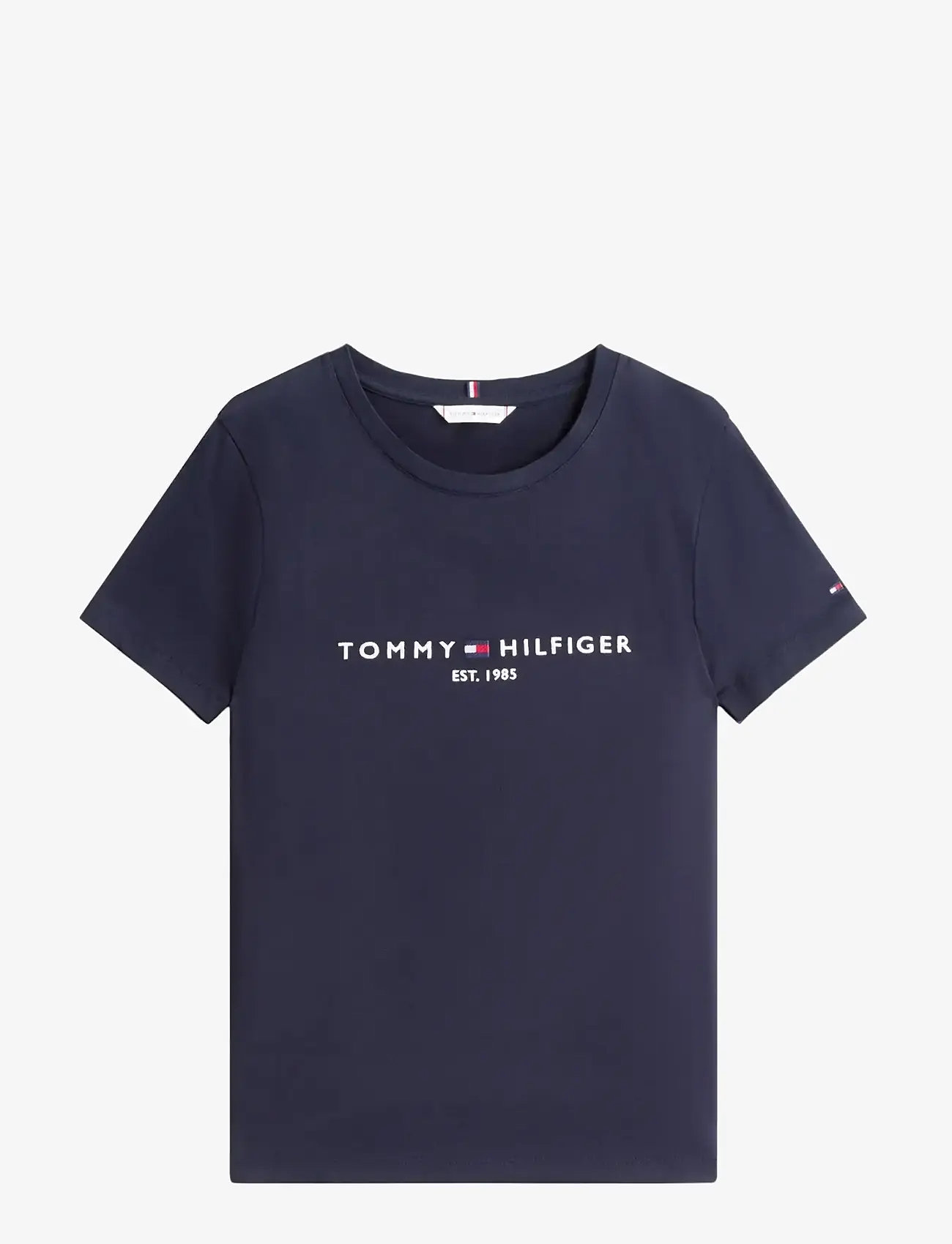 Tommy Hilfiger - HERITAGE HILFIGER C-NK REG TEE - stuttermarbolir - desert sky - 2