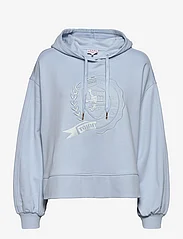 Tommy Hilfiger - ICON RELAXED ICON HOODY - hettegensere - breezy blue - 0
