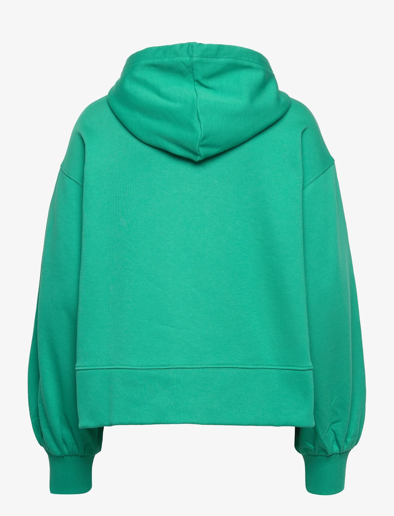 Tommy Hilfiger - ICON RELAXED ICON HOODY - hoodies - icon green - 1