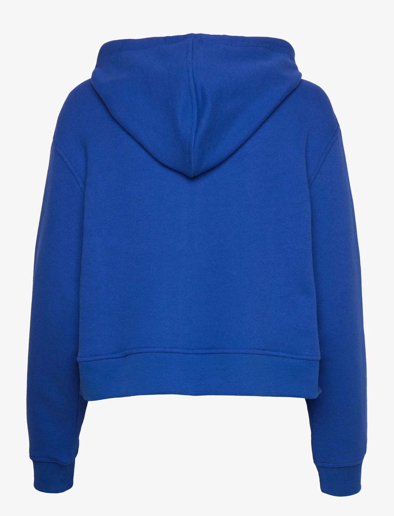 Tommy Hilfiger - REG HILFIGER FR-TERRY ZIP HOODIE - sweatshirts en hoodies - ultra blue - 1