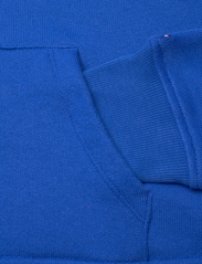 Tommy Hilfiger - REG HILFIGER FR-TERRY ZIP HOODIE - sweatshirts en hoodies - ultra blue - 6