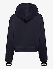 Tommy Hilfiger - REG MONOTYPE SLV CROP HOODIE - kapuutsiga dressipluusid - desert sky - 1