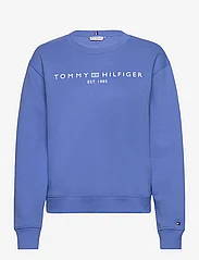 Tommy Hilfiger - MDRN REG CORP LOGO C-NK SWTSHRT - sportiska stila džemperi un džemperi ar kapuci - blue spell - 0