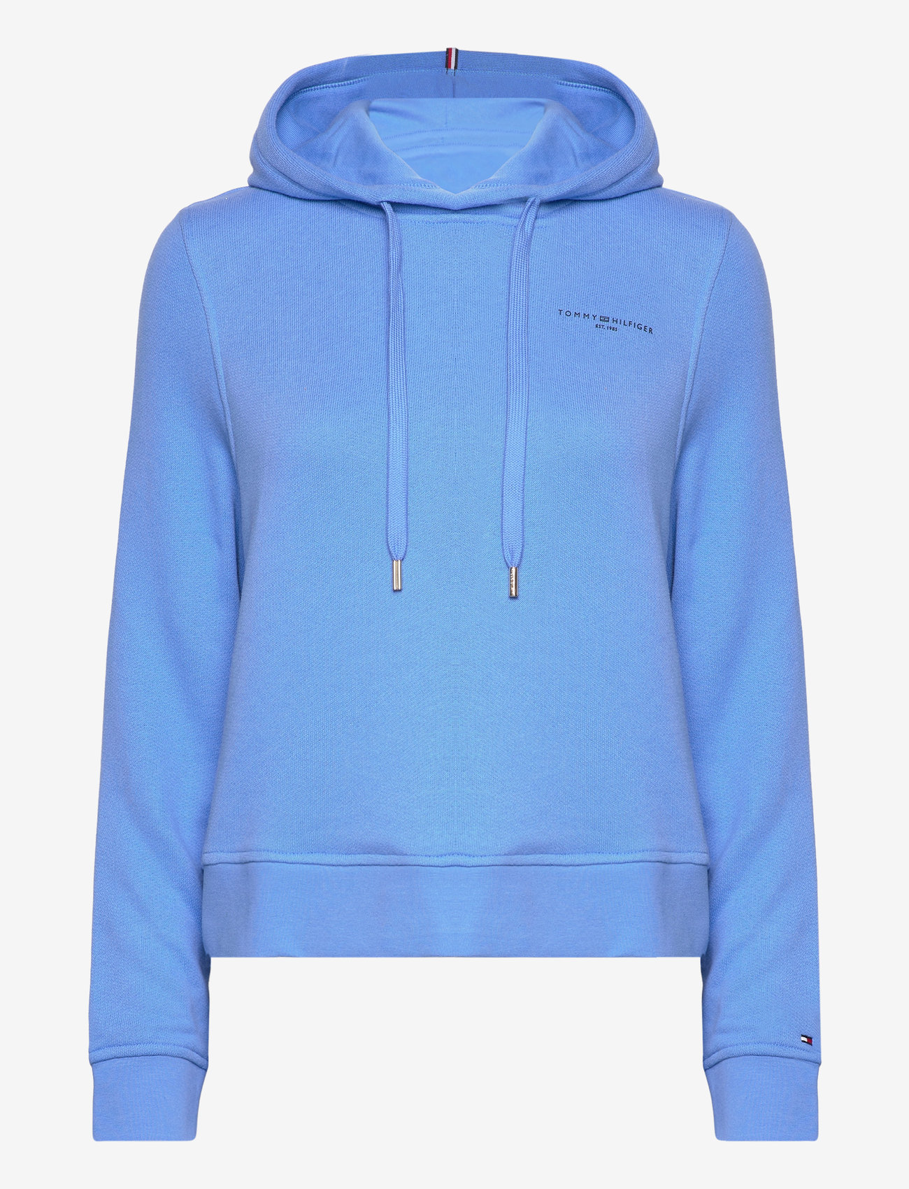 Tommy Hilfiger 1985 Reg Mini Corp Logo Hoodie (TOHWW0WW40274