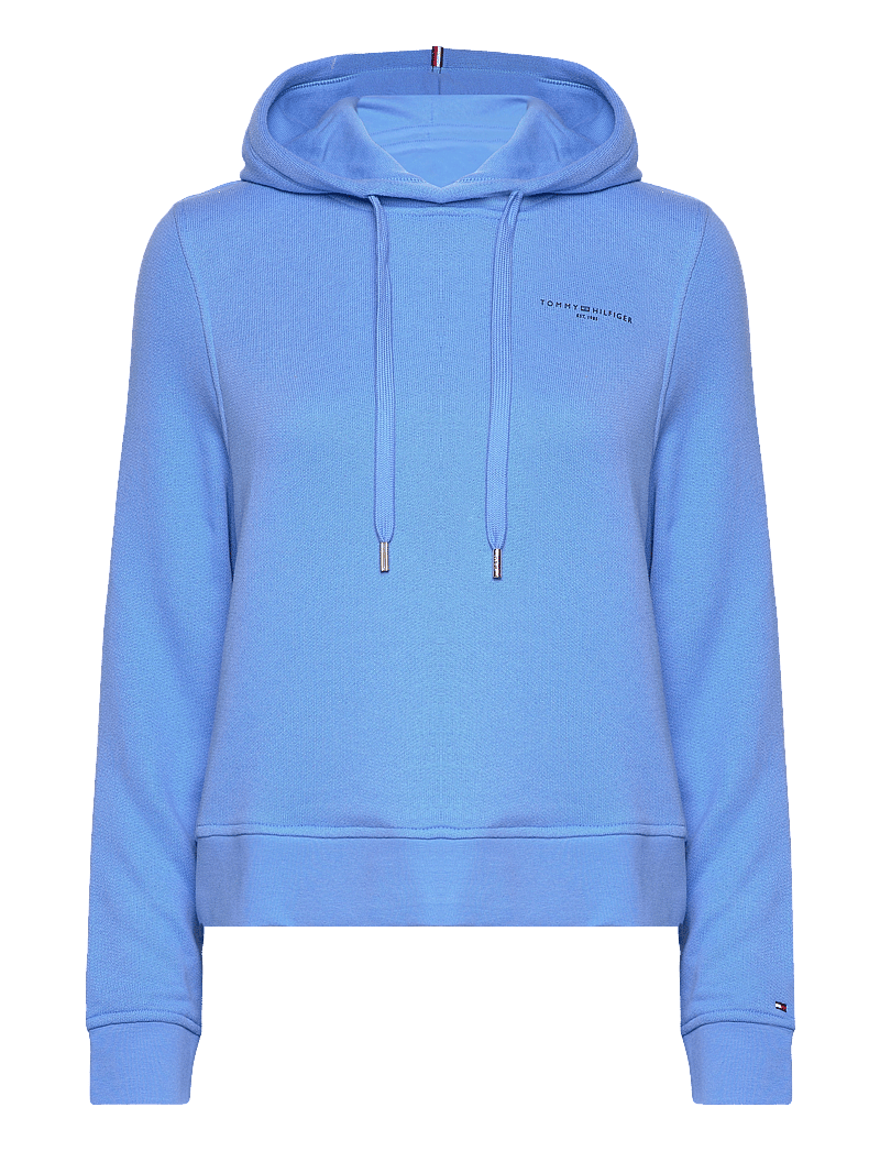 Tommy Hilfiger 1985 Reg Mini Corp Logo Hoodie (TOHWW0WW40274