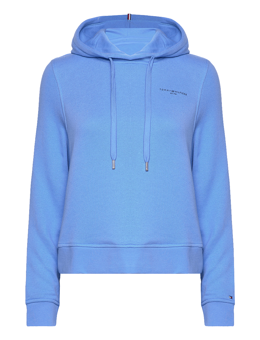 Tommy Hilfiger - 1985 REG MINI CORP LOGO HOODIE - blue spell - 0