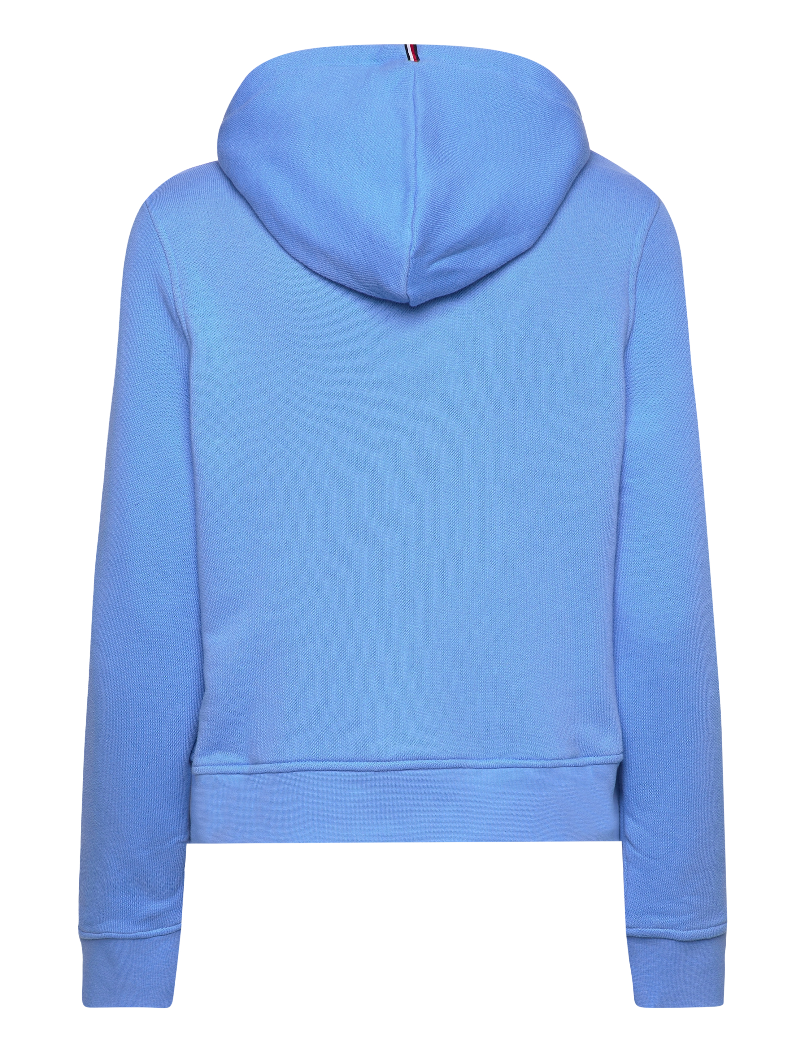 Tommy Hilfiger - 1985 REG MINI CORP LOGO HOODIE - blue spell - 1