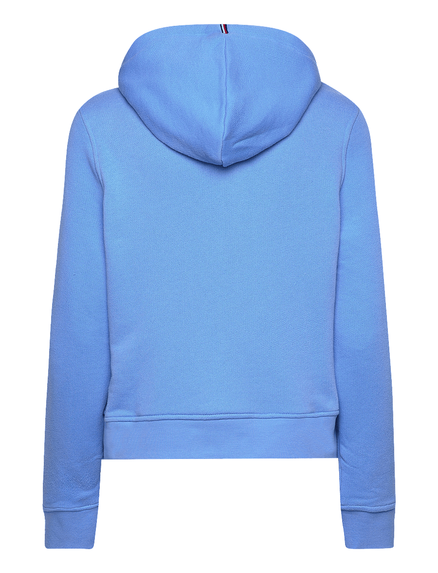Tommy Hilfiger - 1985 REG MINI CORP LOGO HOODIE - blue spell - 1