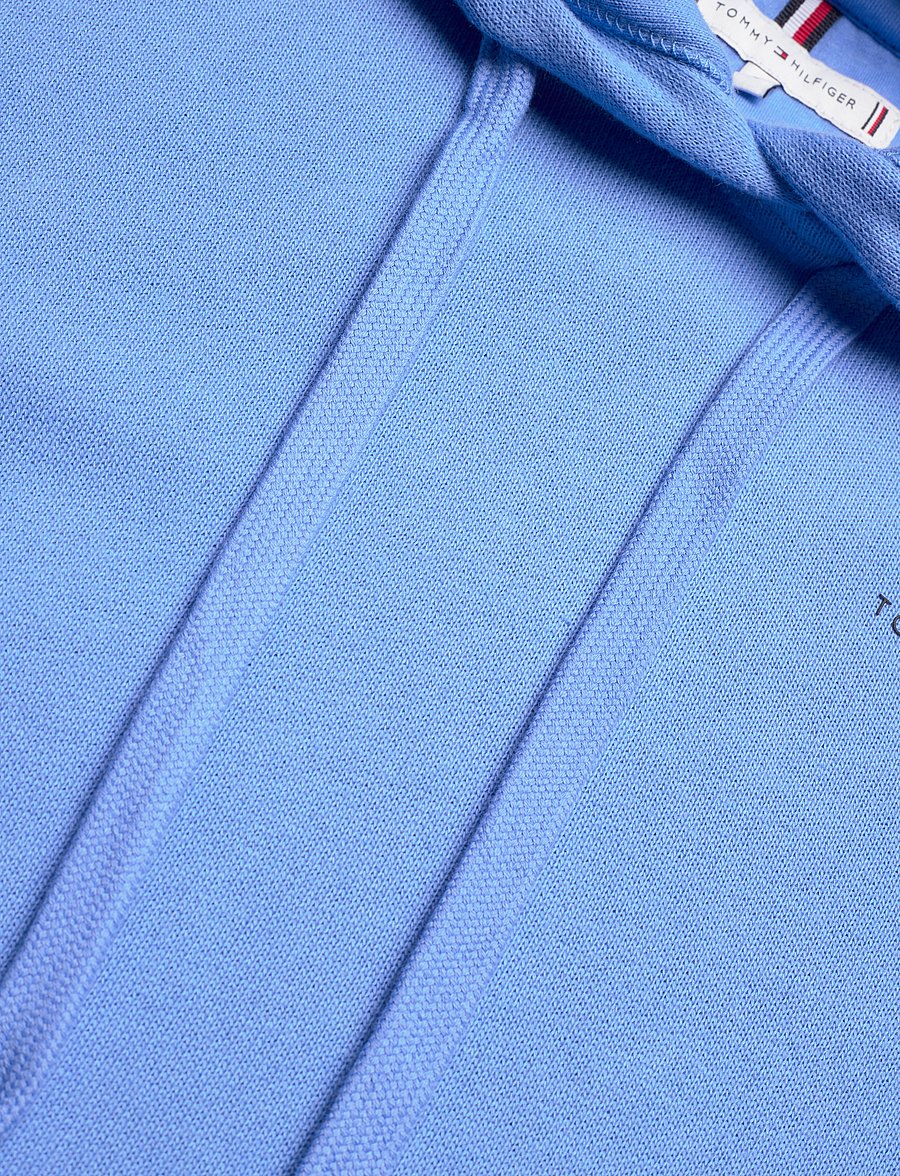 Tommy Hilfiger - 1985 REG MINI CORP LOGO HOODIE - blue spell - 2