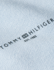 Tommy Hilfiger - 1985 REG MINI CORP LOGO HOODIE - megztiniai ir džemperiai - breezy blue - 5