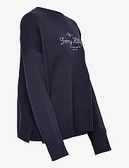 Tommy Hilfiger - CO SCRIPT GRAPHIC C-NK SWT - jumpers - desert sky - 3