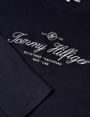 Tommy Hilfiger - CO SCRIPT GRAPHIC C-NK SWT - pullover - desert sky - 4