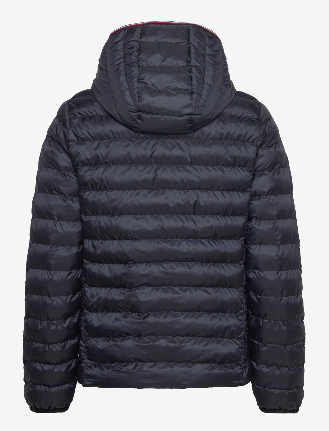 Tommy Hilfiger - LW PADDED GLOBAL STRIPE JACKET - vinterjakker - navy blue - 2