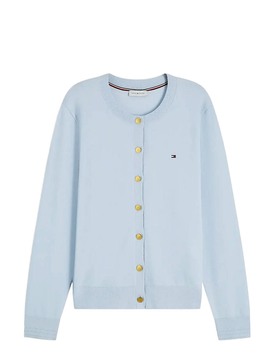 Tommy Hilfiger - CO JERSEY FINE GG C-NK LS CARDI - strickjacken - breezy blue - 1
