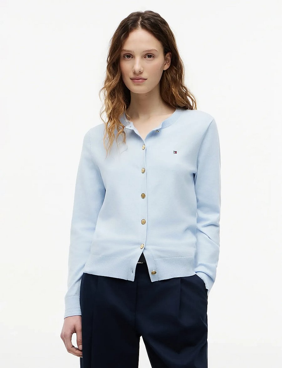 Tommy Hilfiger - CO JERSEY FINE GG C-NK LS CARDI - strickjacken - breezy blue - 0