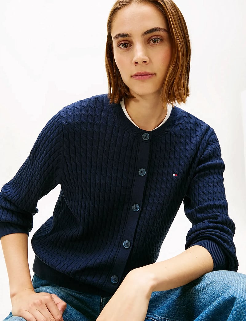 Tommy Hilfiger - CO CABLE FINE GG LS C-NK CARDI - arkityyli - dark blue - 3