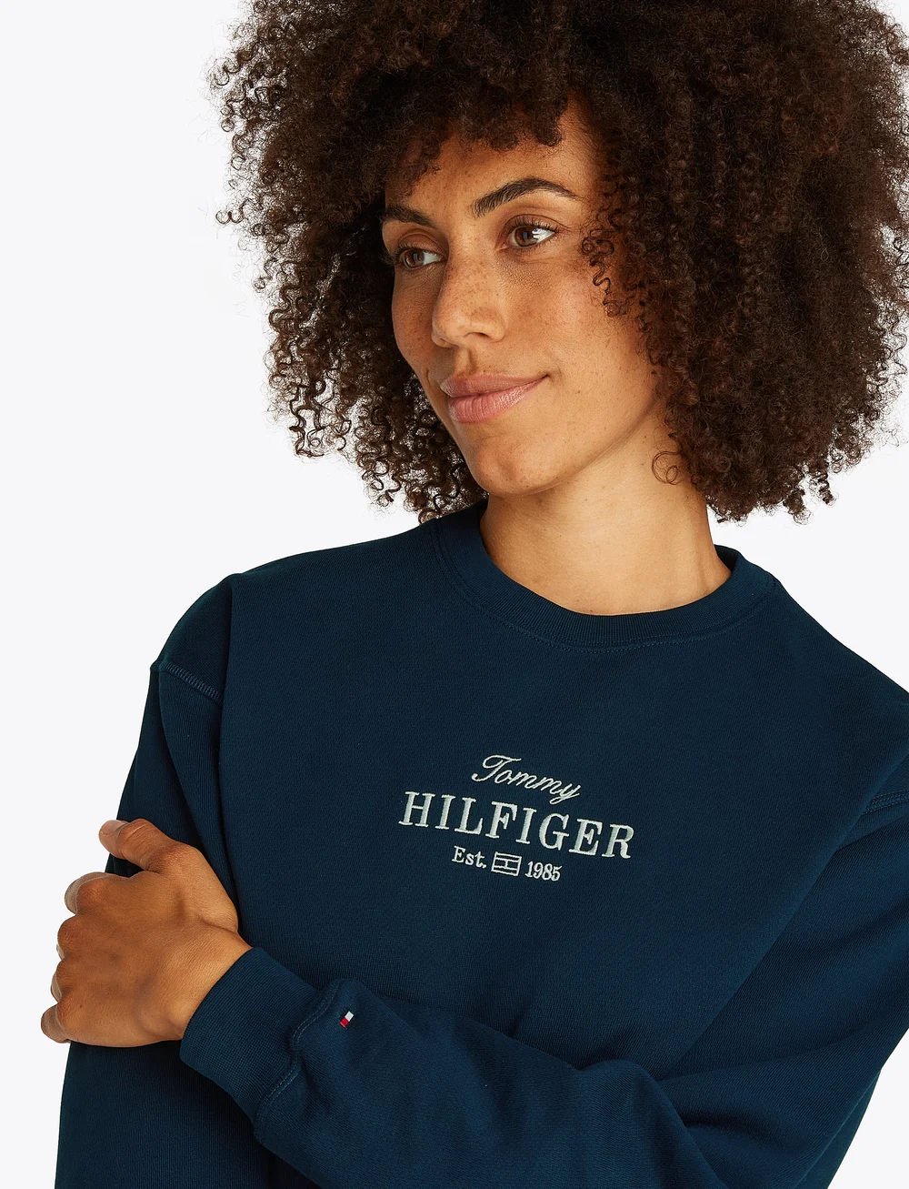 Tommy Hilfiger - REG HILFIGER SWEATSHIRT - alltags-style - dark night navy - 0