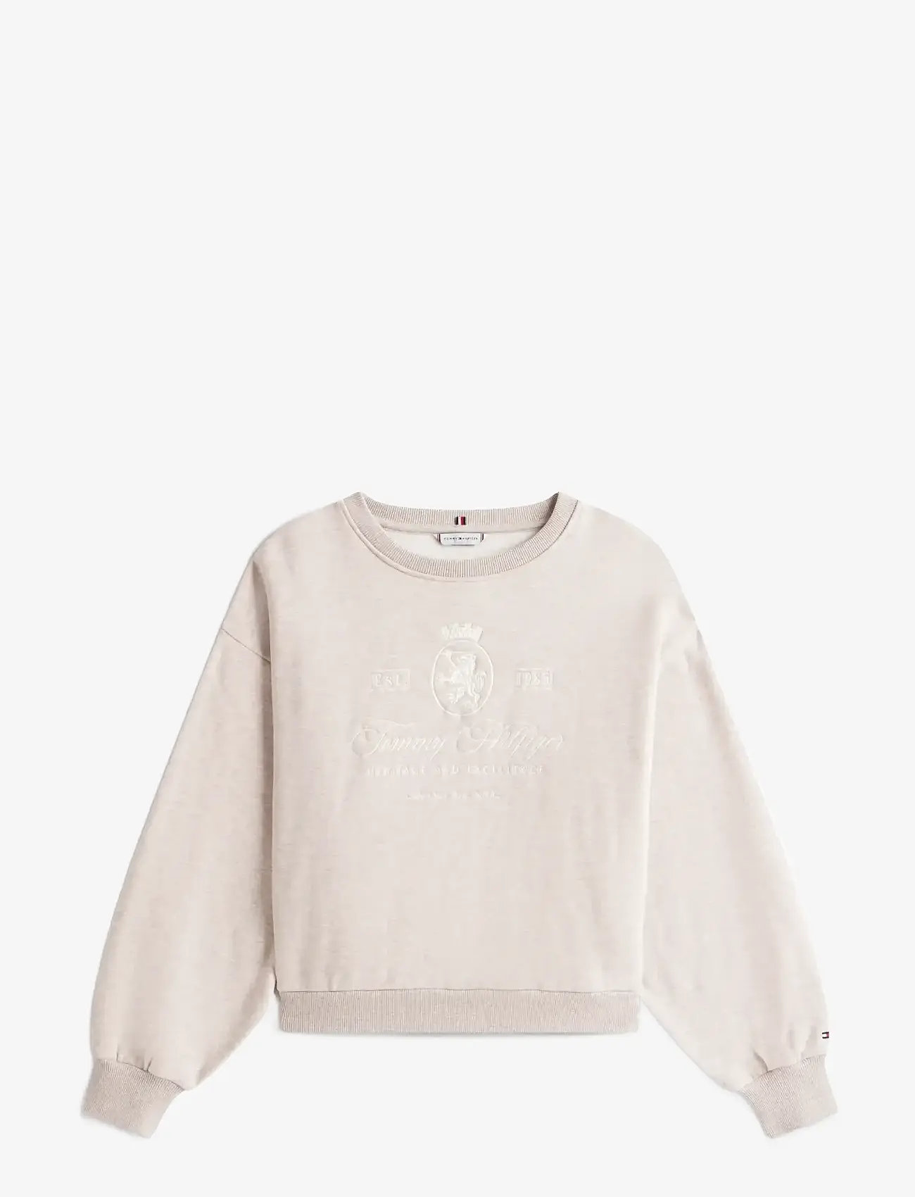 Tommy Hilfiger - VARSITY CREST FLEECE SWTSHRT - sweatshirts - heathered pebble - 1