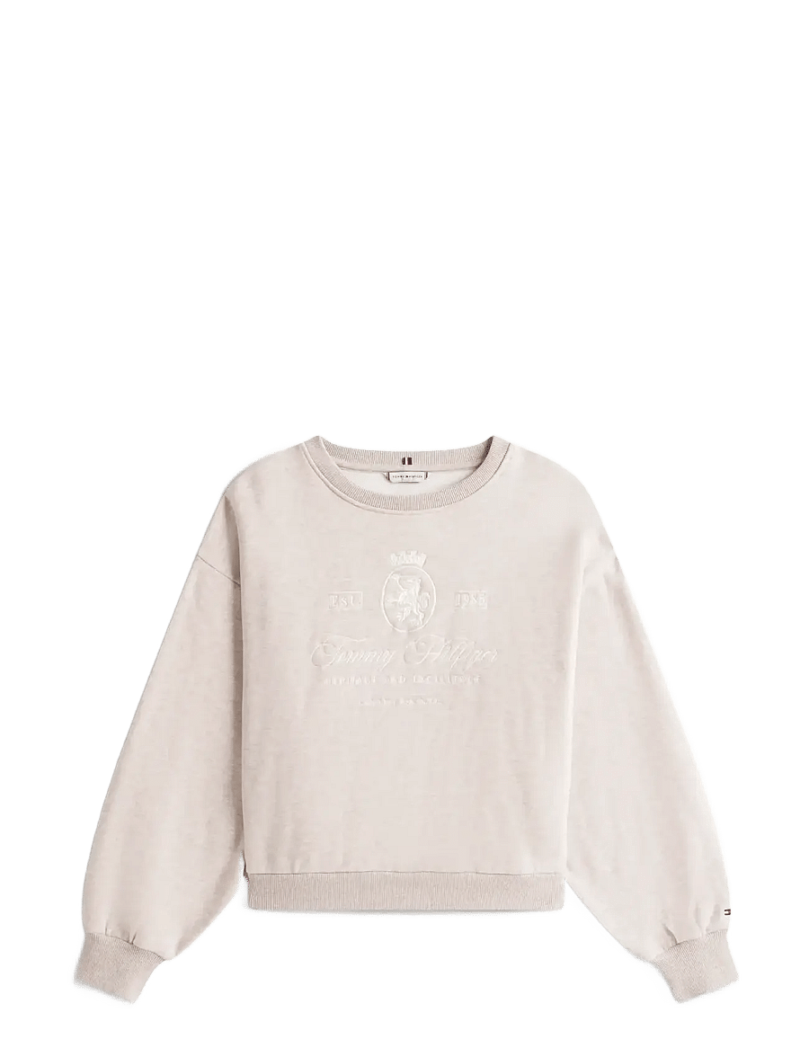 Tommy Hilfiger - VARSITY CREST FLEECE SWTSHRT - sweatshirts - heathered pebble - 1