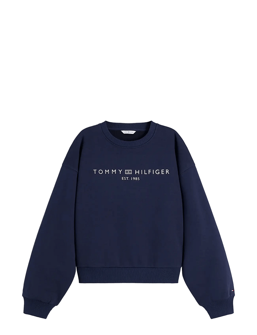 Tommy Hilfiger - CORP LOGO MDRN SWTSRT - igapäevane stiil - dark blue - 1