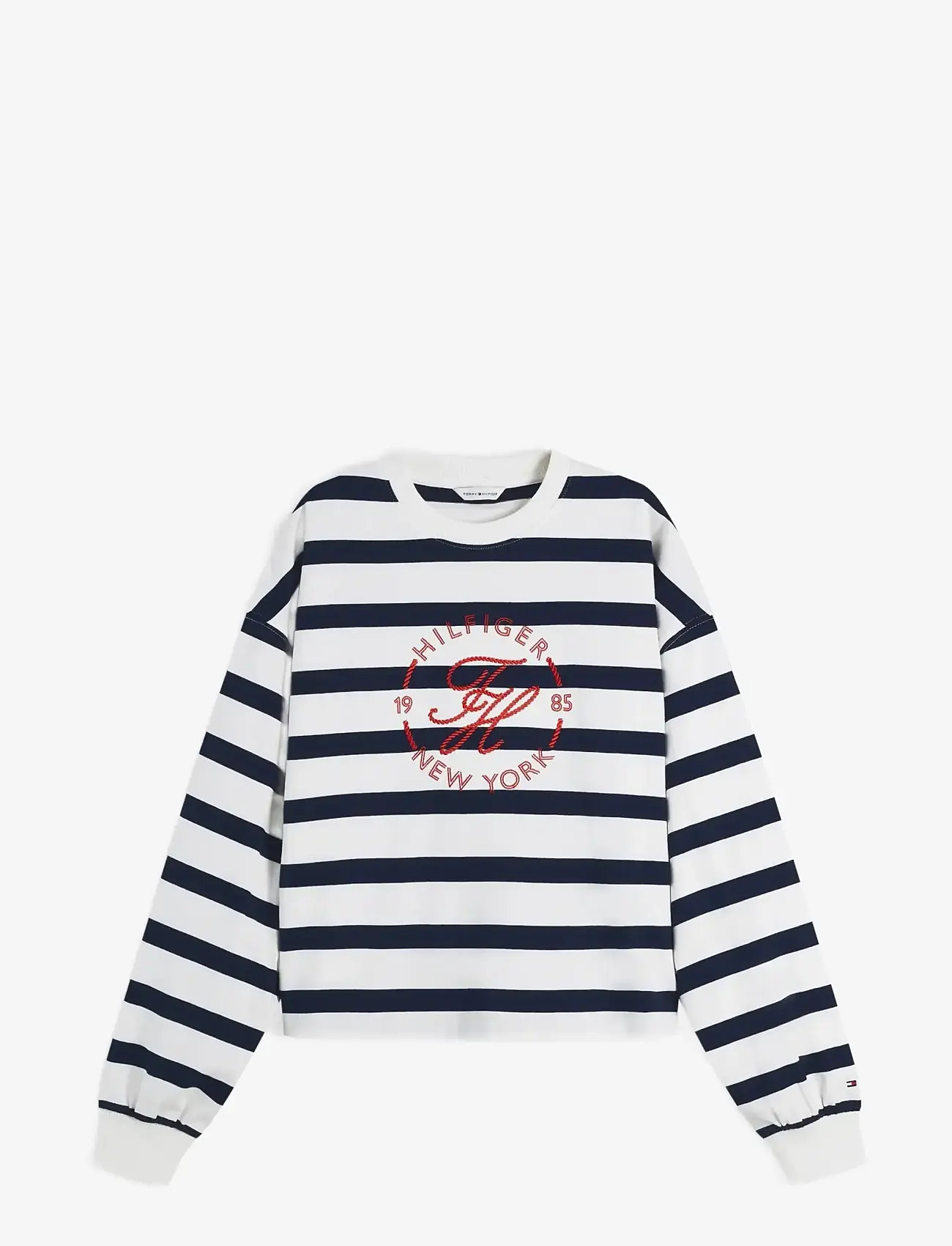 Tommy Hilfiger - TH ROUNDAL C-NK RLX LONGSLEEVE - alltags-style - wide strp ecru   dark night navy - 1
